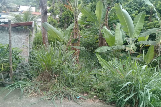Terreno à Venda, 330 m² em Campo Grande - Rio De Janeiro