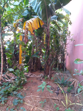 Imagem Casa com 3 Quartos à Venda, 372 m² em Rudge Ramos - São Bernardo Do Campo Imagem Casa com 3 Quartos à Venda, 372 m² em Rudge Ramos - São Bernardo Do Campo