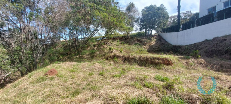 Imagem Terreno à Venda, 2.639 m² em Bairro Do Cambará - São Roque Imagem Terreno à Venda, 2.639 m² em Bairro Do Cambará - São Roque