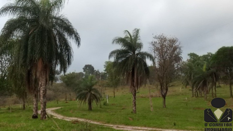 Imagem Imóvel à Venda, 20.000 m² em Mirantes Fazendas - Sete Lagoas Imagem Imóvel à Venda, 20.000 m² em Mirantes Fazendas - Sete Lagoas