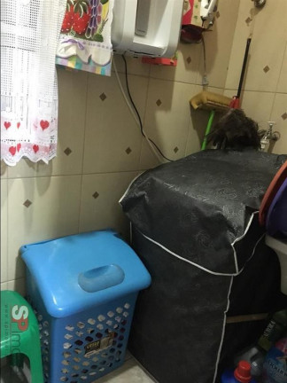 Imagem Apartamento com 3 Quartos à Venda, 63 m² em Canhema - Diadema