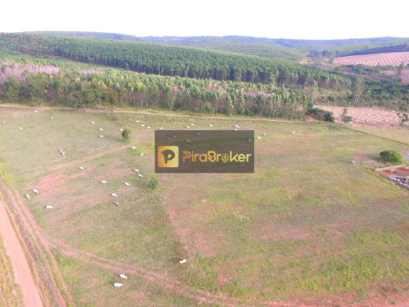 Imagem Imóvel com 4 Quartos à Venda, 435.600 m² em Jardim Dos Eucaliptos - Itirapina Imagem Imóvel com 4 Quartos à Venda, 435.600 m² em Jardim Dos Eucaliptos - Itirapina