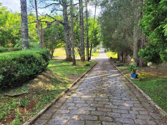 Imagem Imóvel com 5 Quartos à Venda, 109.094 m² em Centro (mailasqui) - São Roque Imagem Imóvel com 5 Quartos à Venda, 109.094 m² em Centro (mailasqui) - São Roque