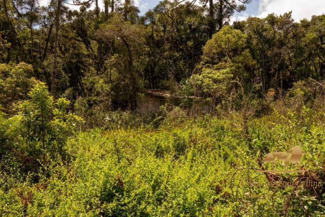 Imagem Terreno à Venda, 3.132 m² em Campos Do Jordão Imagem Terreno à Venda, 3.132 m² em Campos Do Jordão