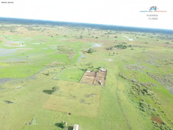 Imagem Fazenda à Venda, 58.000 m² em Cáceres Imagem Fazenda à Venda, 58.000 m² em Cáceres