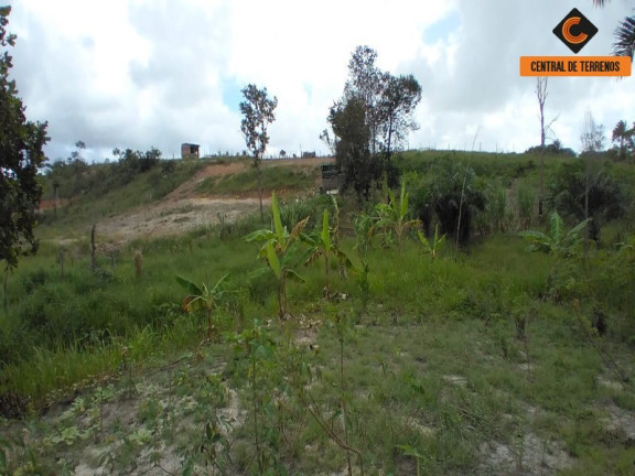 Imagem Terreno à Venda, 27.900 m² em Parafuso - Camaçari Imagem Terreno à Venda, 27.900 m² em Parafuso - Camaçari