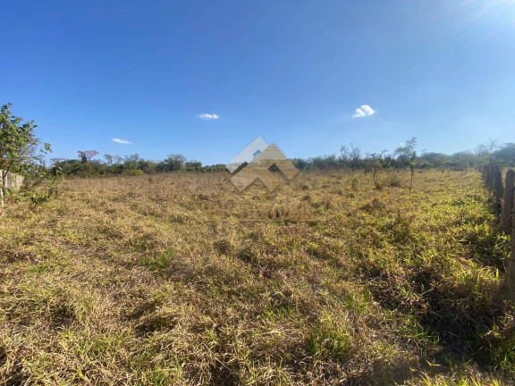 Imagem Terreno à Venda, 10.000 m² em Represa Do Broa - Itirapina