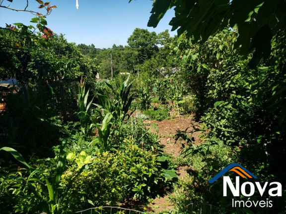 Imagem Imóvel à Venda, 501 m² em Piá - Nova Petrópolis Imagem Imóvel à Venda, 501 m² em Piá - Nova Petrópolis