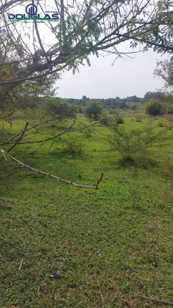 Imagem Chácara à Venda, 20.000 m² em Viamão Imagem Chácara à Venda, 20.000 m² em Viamão