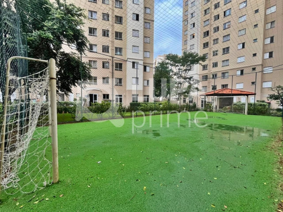 Imagem Apartamento com 2 Quartos para Alugar, 45 m² em Ponte Grande - Guarulhos Imagem Apartamento com 2 Quartos para Alugar, 45 m² em Ponte Grande - Guarulhos