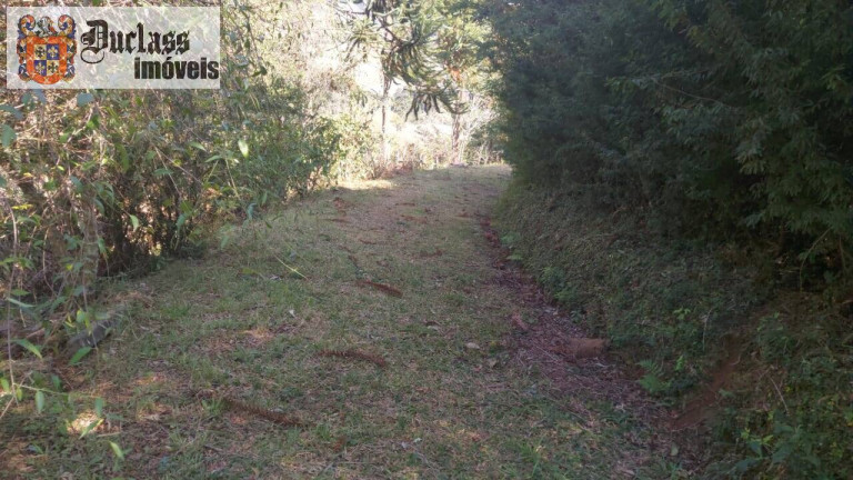 Imagem Chácara com 1 Quarto à Venda, 180 m² em Rural - Gonçalves Imagem Chácara com 1 Quarto à Venda, 180 m² em Rural - Gonçalves
