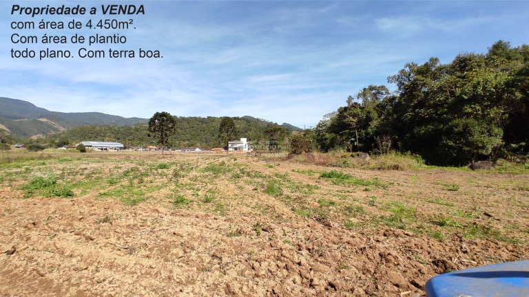 Imagem Imóvel à Venda, em Arataca - São João Batista Imagem Imóvel à Venda, em Arataca - São João Batista