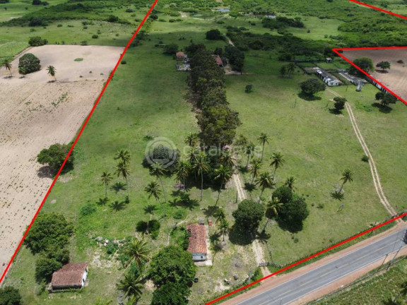 Imagem Fazenda à Venda, 300.000 m² em Lagoa Do Mato - Monte Alegre Imagem Fazenda à Venda, 300.000 m² em Lagoa Do Mato - Monte Alegre