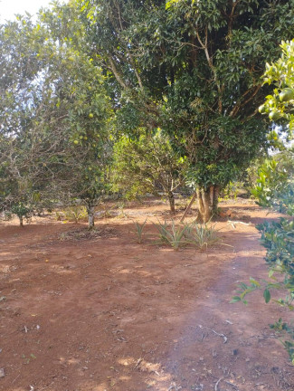 Imagem Chácara com 2 Quartos à Venda, 1 m² em Jardim Cananéia - Pilar Do Sul Imagem Chácara com 2 Quartos à Venda, 1 m² em Jardim Cananéia - Pilar Do Sul