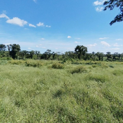 Imagem Chácara com 2 Quartos à Venda, 12 m² em Tangará Da Serra Imagem Chácara com 2 Quartos à Venda, 12 m² em Tangará Da Serra