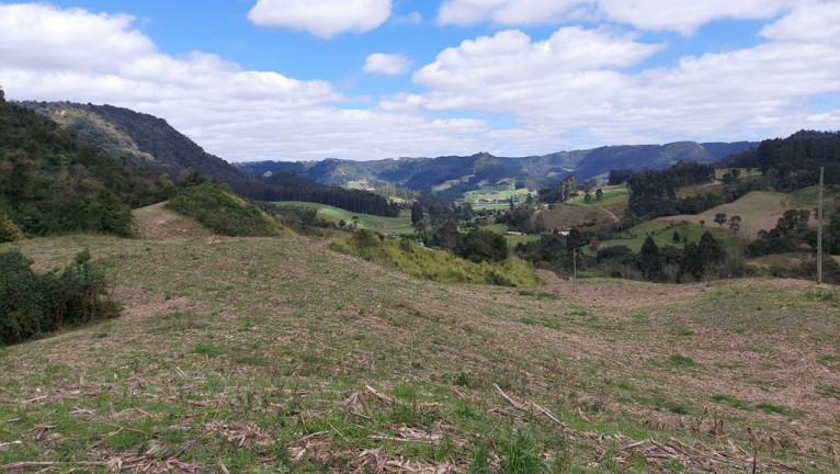 Imagem Terreno à Venda, 120.000 m² em Zona Rural - Agrolândia Imagem Terreno à Venda, 120.000 m² em Zona Rural - Agrolândia