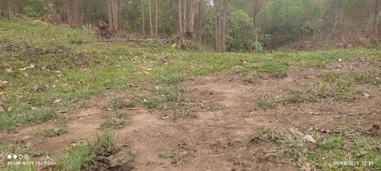 Imagem Chácara com 2 Quartos à Venda, 150 m² em Centro - Paraibuna Imagem Chácara com 2 Quartos à Venda, 150 m² em Centro - Paraibuna