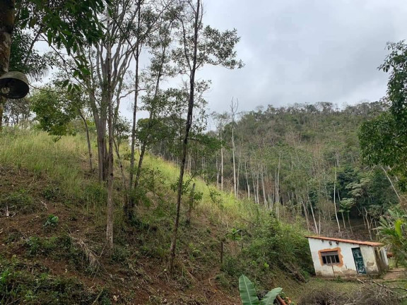 Imagem Chácara com 3 Quartos à Venda, 81 m² em Riograndina - Nova Friburgo