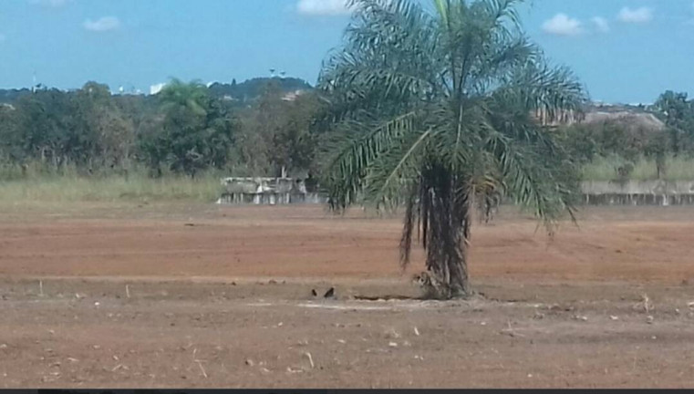Imagem Terreno à Venda, 60.000 m² em Zona Rural - Cuiabá