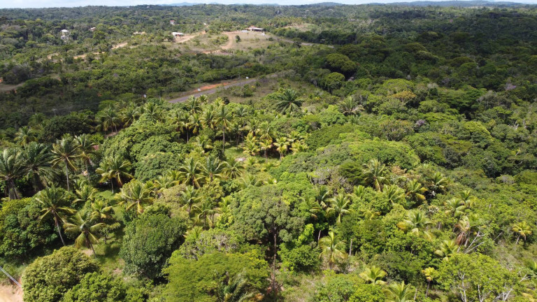 Imagem Terreno à Venda,  em Itacaré