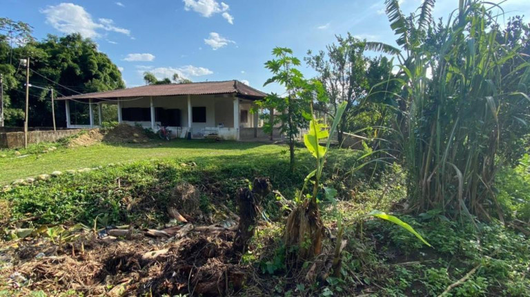 Imagem Imóvel com 3 Quartos à Venda, 12.000 m² em Cachoeira - Antonina