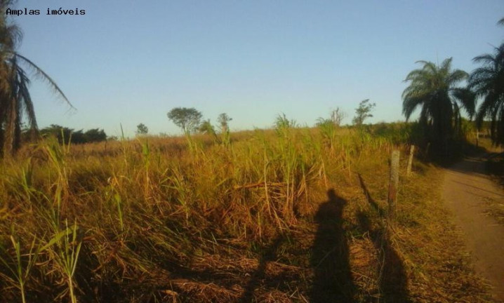 Imagem Fazenda à Venda, 52 m² em Florestal Imagem Fazenda à Venda, 52 m² em Florestal