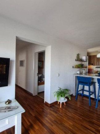 Imagem Apartamento com 3 Quartos à Venda, 62 m² em Jardim Celeste - São Paulo