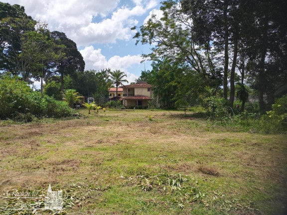 Imagem Casa com 4 Quartos para Alugar, 9.000 m² em águas Lindas - Ananindeua