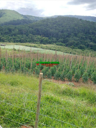 Imagem Fazenda à Venda, 180 m² em Sob Consulta - Barra Do Piraí Imagem Fazenda à Venda, 180 m² em Sob Consulta - Barra Do Piraí
