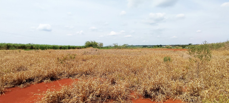 Imagem Terreno à Venda, 20.000 m² em área Rural De Iracemápolis - Iracemápolis Imagem Terreno à Venda, 20.000 m² em área Rural De Iracemápolis - Iracemápolis