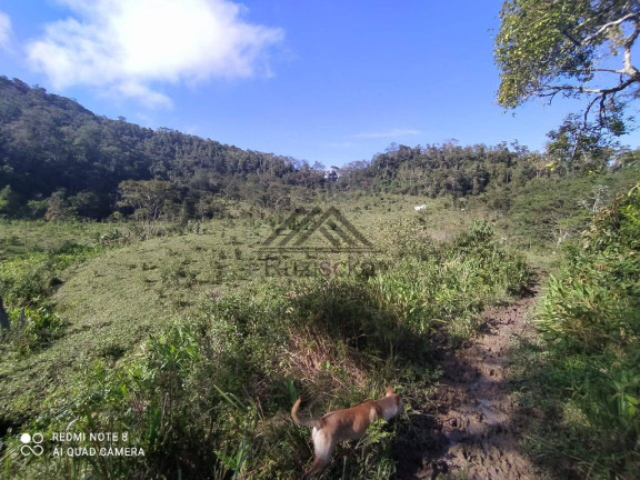 Imagem Chácara à Venda, 11 m² em Centro - Miracatu Imagem Chácara à Venda, 11 m² em Centro - Miracatu