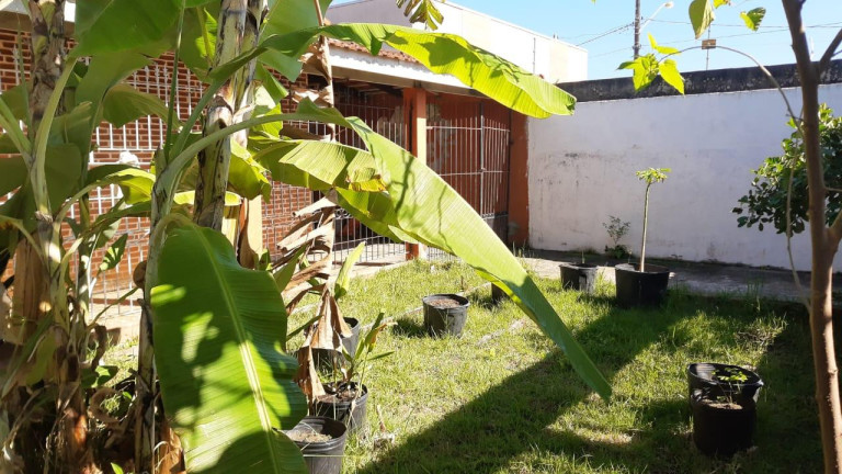 Imagem Casa com 4 Quartos à Venda, 360 m² em Jamaica (praia) - Itanhaém Imagem Casa com 4 Quartos à Venda, 360 m² em Jamaica (praia) - Itanhaém
