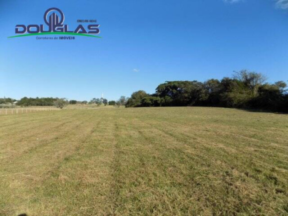 Imagem Chácara à Venda, 8 m² em águas Claras - Viamão Imagem Chácara à Venda, 8 m² em águas Claras - Viamão