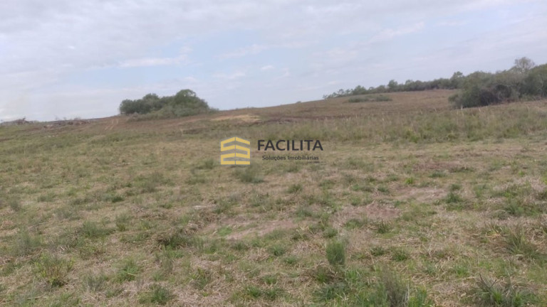 Imóvel com 2 Quartos à Venda, 950.000 m² em Centro - Pinheiro Machado