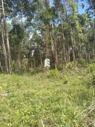 Imagem Imóvel à Venda, 100.000.000 m² em Etelvina - Itaara