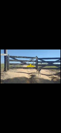 Imagem Fazenda à Venda, 67 m² em Rural - Itapetininga