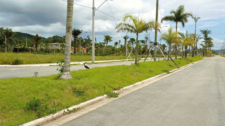 Imagem Imóvel à Venda, em Vargem Grande - Florianópolis Imagem Imóvel à Venda, em Vargem Grande - Florianópolis
