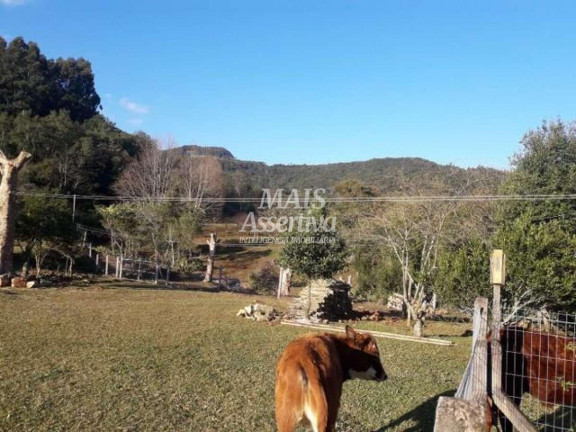 Imagem Imóvel com 3 Quartos à Venda, 176 m² em Boa Vista - São Francisco De Paula Imagem Imóvel com 3 Quartos à Venda, 176 m² em Boa Vista - São Francisco De Paula