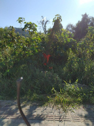 Imagem Terreno à Venda, 780 m² em Praia De Bombas - Bombinhas Imagem Terreno à Venda, 780 m² em Praia De Bombas - Bombinhas