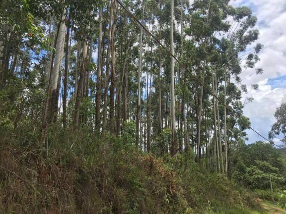 Imagem Terreno à Venda, 21.482 m² em Castanho - Jundiaí