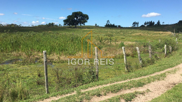 Imagem Fazenda à Venda, 244 m² em Araruama Imagem Fazenda à Venda, 244 m² em Araruama