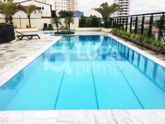 Imagem Apartamento com 3 Quartos à Venda, 98 m² em Vila Maria Alta - São Paulo