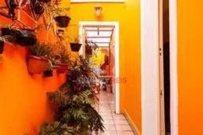 Imagem Sobrado com 5 Quartos à Venda, 120 m² em Vila Sabrina - São Paulo Imagem Sobrado com 5 Quartos à Venda, 120 m² em Vila Sabrina - São Paulo