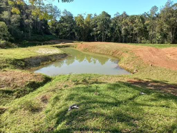 Imagem Imóvel com 4 Quartos à Venda, 68.000 m² em Centro - Morretes 
