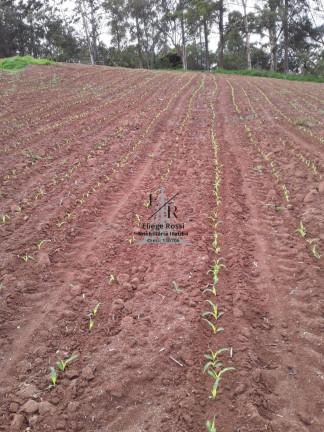 Imagem Chácara à Venda, 14 m² em Bragança Paulista Imagem Chácara à Venda, 14 m² em Bragança Paulista