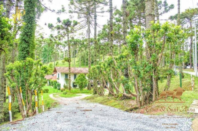Imagem Terreno à Venda, 1.000 m² em Alto Do Capivari - Campos Do Jordão Imagem Terreno à Venda, 1.000 m² em Alto Do Capivari - Campos Do Jordão