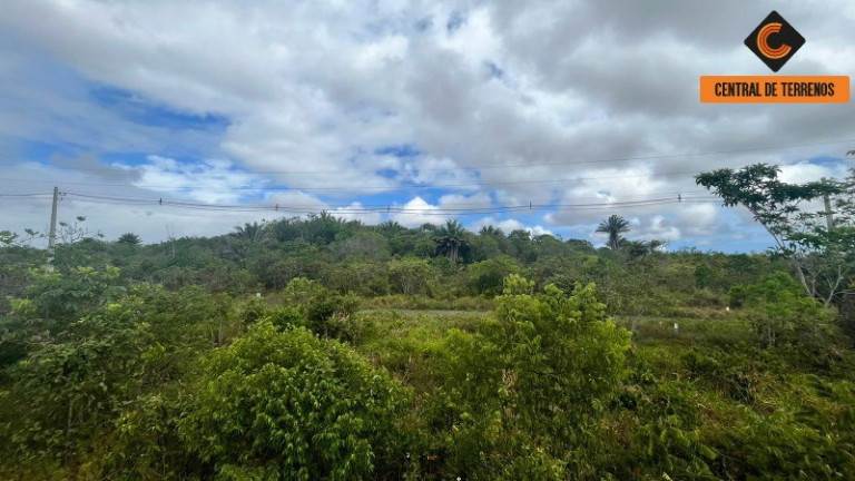 Imagem Terreno à Venda, 10.000 m² em Industrial - Camaçari Imagem Terreno à Venda, 10.000 m² em Industrial - Camaçari