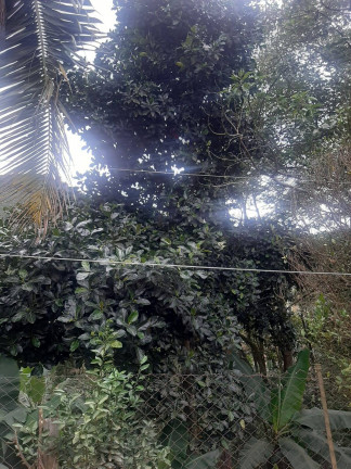 Imagem Chácara com 2 Quartos à Venda, 90 m² em Mairiporã