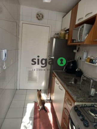 Imagem Apartamento com 2 Quartos à Venda, 49 m² em Parque Munhoz - São Paulo Imagem Apartamento com 2 Quartos à Venda, 49 m² em Parque Munhoz - São Paulo