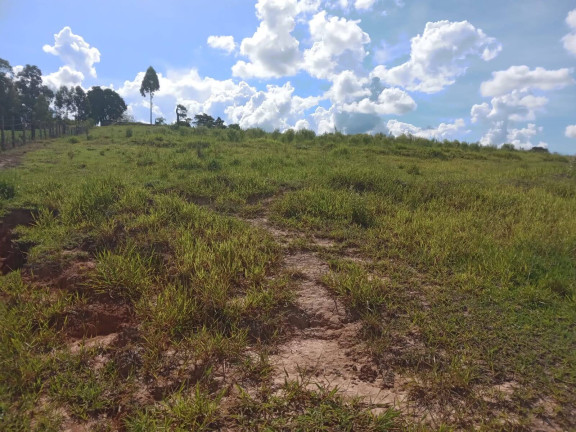 Imagem Chácara à Venda, 22 m² em Cruzeirinho - Itaporanga Imagem Chácara à Venda, 22 m² em Cruzeirinho - Itaporanga
